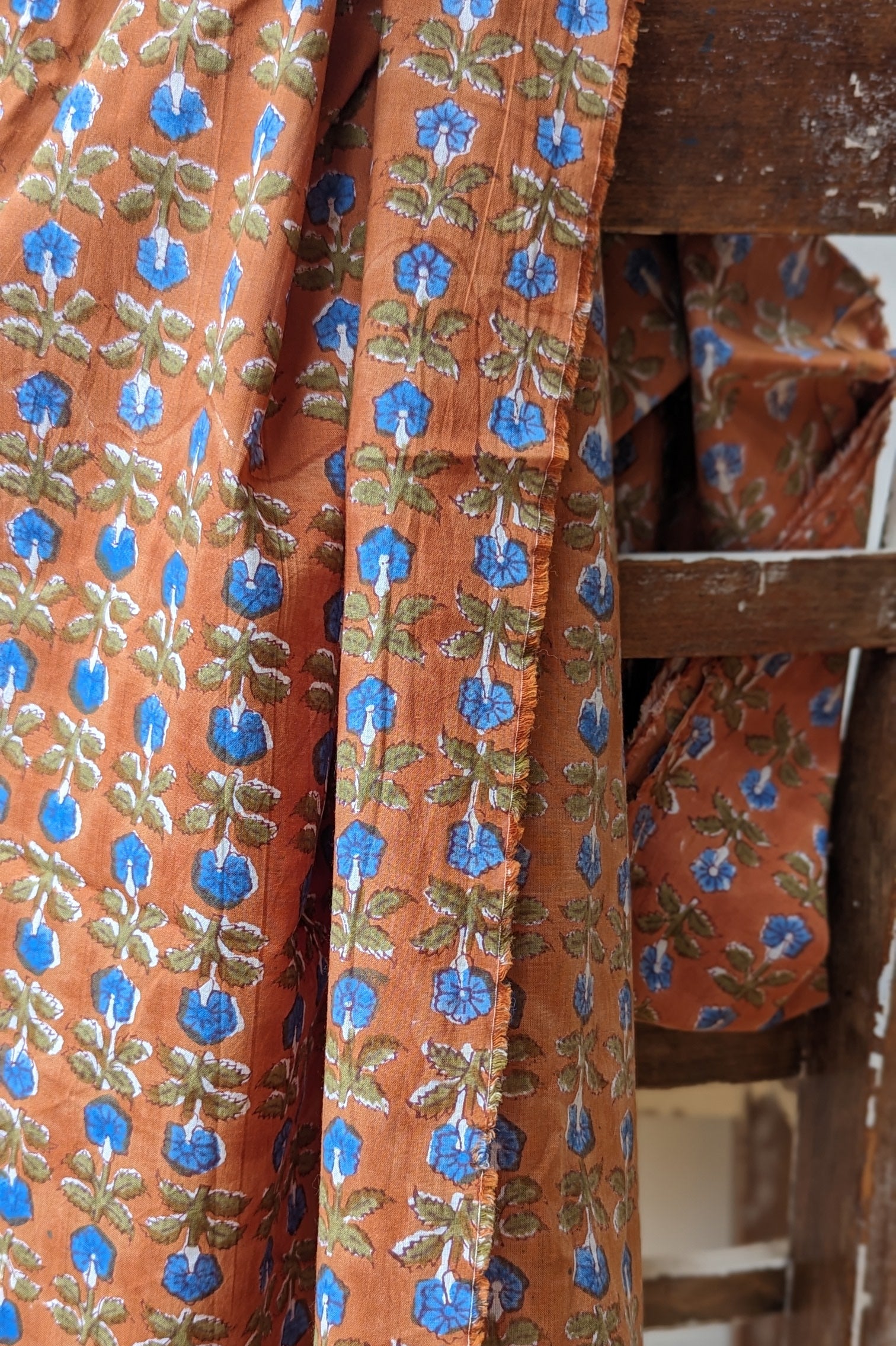 Lottie, Child 4 - 10 yr