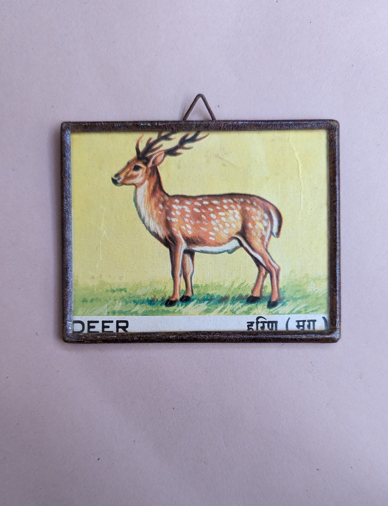 Animal Frames