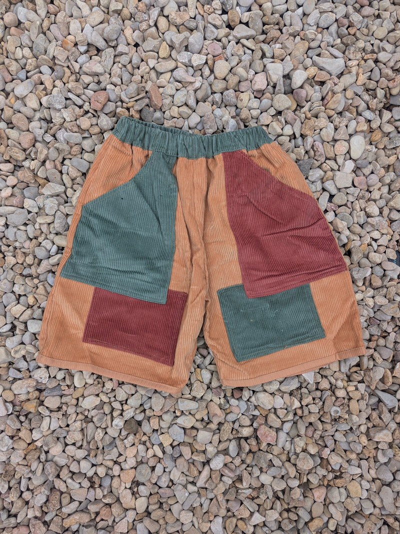 Colour Block Cords Shorts
