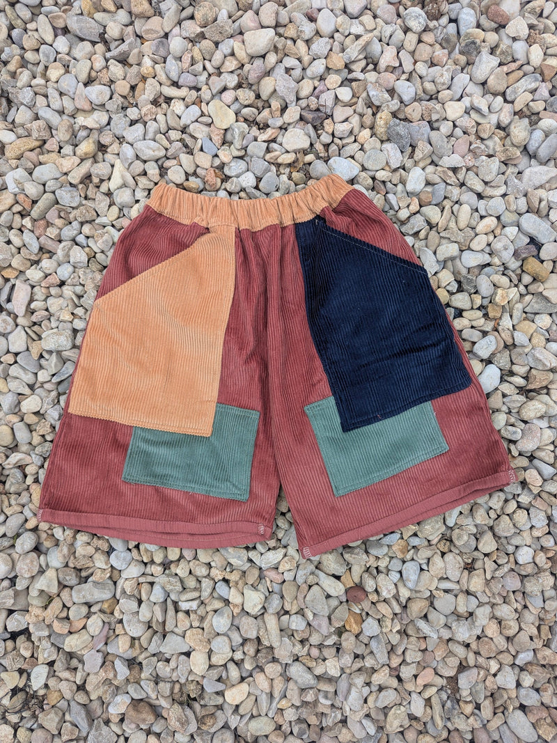 Colour Block Cords Shorts