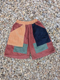 Colour Block Cords Shorts