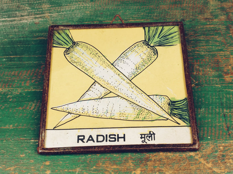 Radish